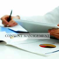 Content Management for fresh, interesting content on your site on a regular basis - from hiring writers to managing content creation.